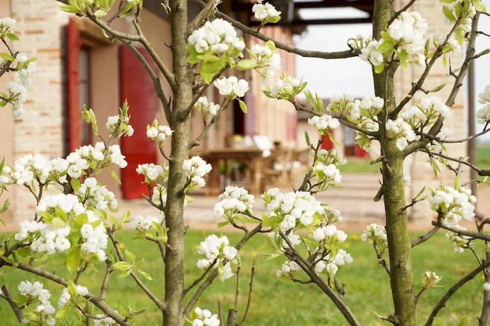 Agriturismo Ca' Lealta Caorle Italy